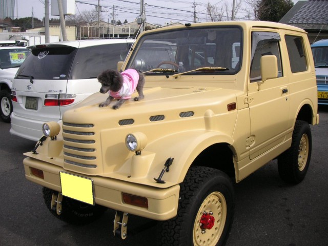 Угадай АВТО-4