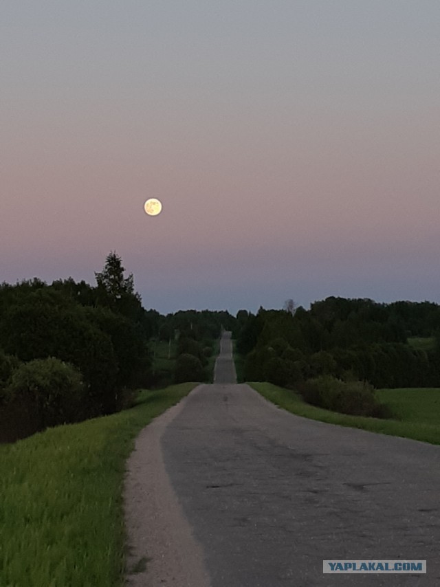 Сам себе фотограф