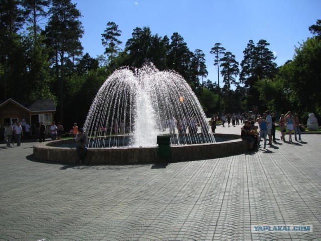 Новосибирский зоопарк (8 фото)