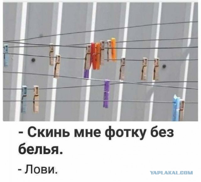 Юмор в картинках 19.09.20