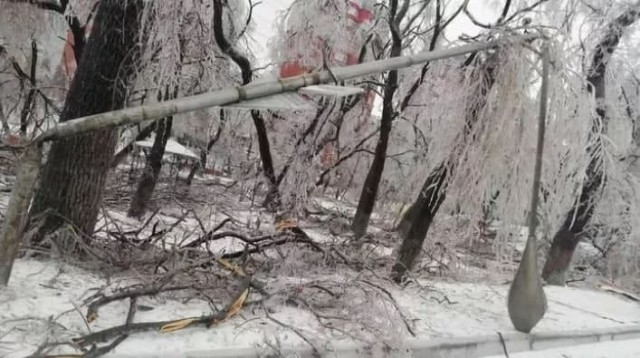 В Приморье ввели режим ЧС из-за непогоды