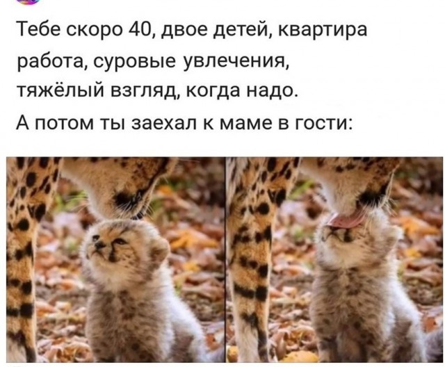 Картинки с надписями и всякие жизненные фразы
