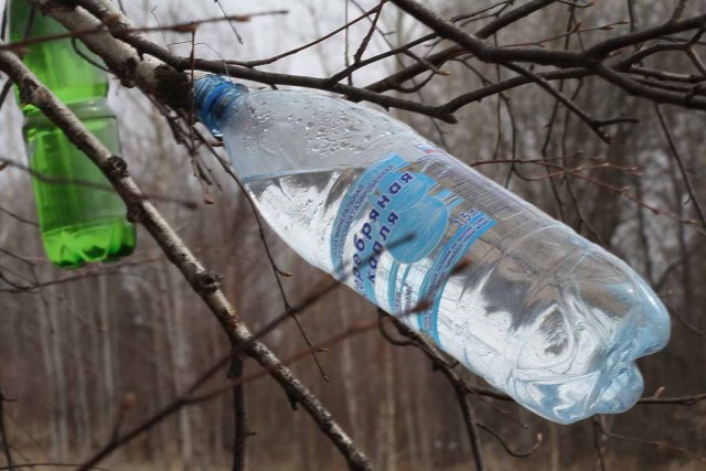 Берёзовый сок