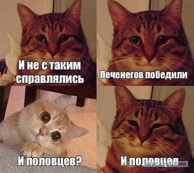 Картинки с надписями и всякие жизненные фразы 25.05.21