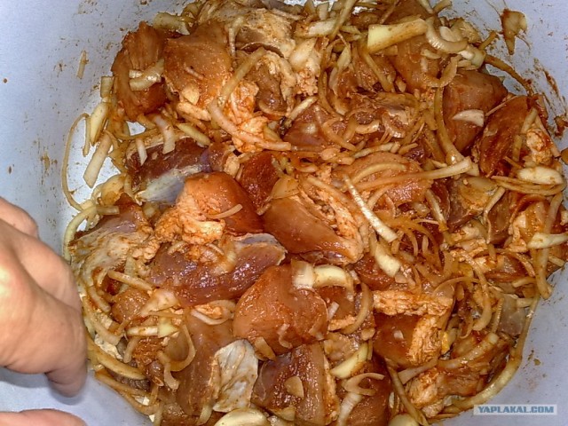 Шашлык, рецепты маринада, все про шашлык!