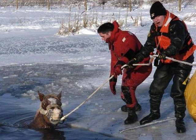 Ксения Собчак снялась полностью обнаженной в купели