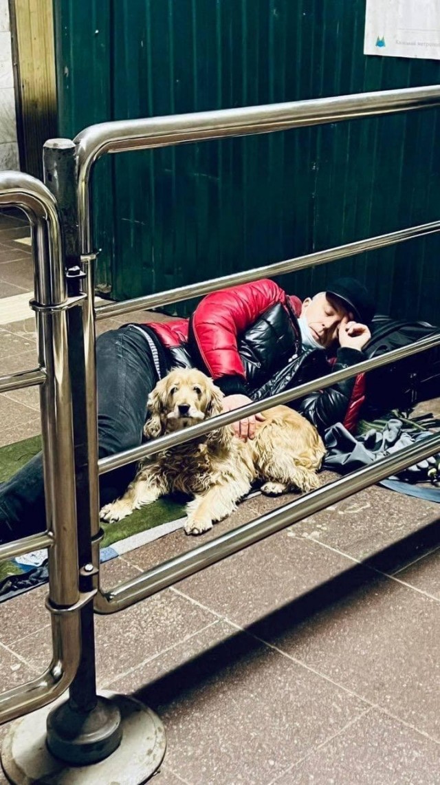 Грустные животные в киевском и харьковском метро спасаются вместе со своими хозяевами