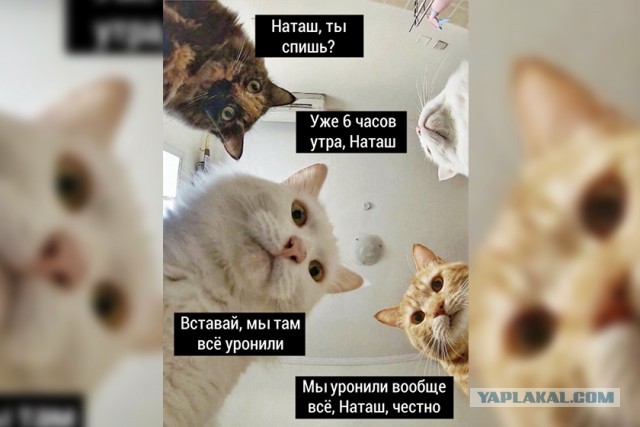 Форекс! Что происходит?