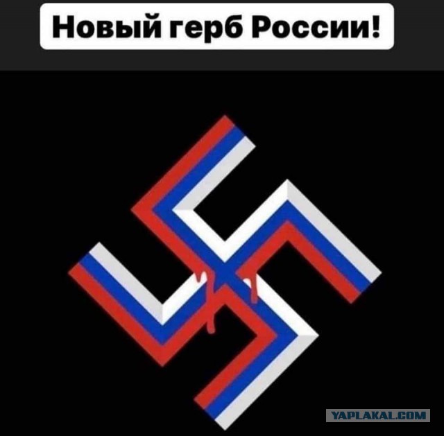 В Ставрополе закрасили изображение слона на стадионе