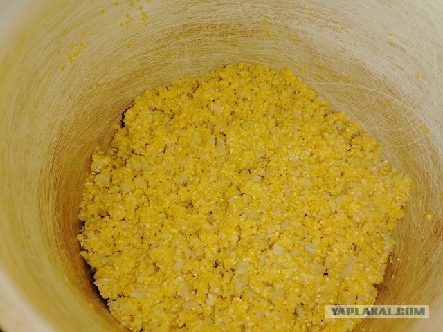 Рыбалка на карася