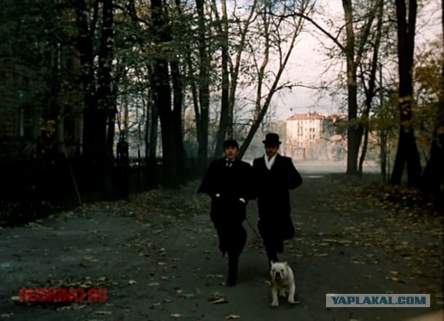 Собаки в кино