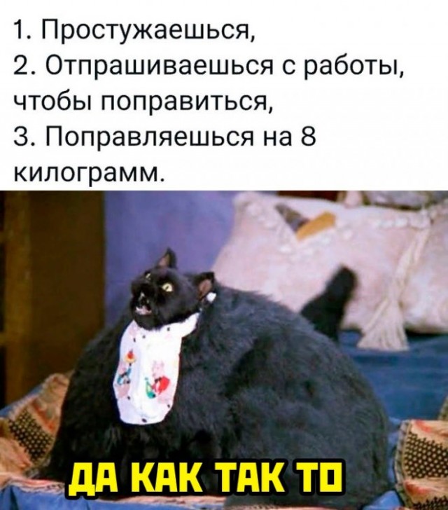 Так себе картинки 24.09.22