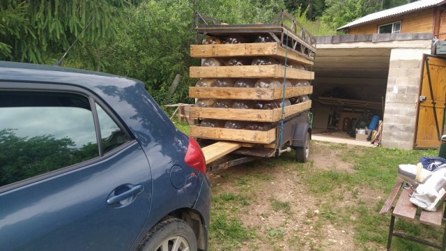 ПЛОТские утехи