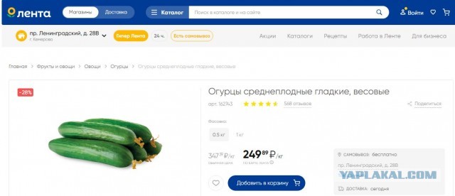 Опять про огурцы