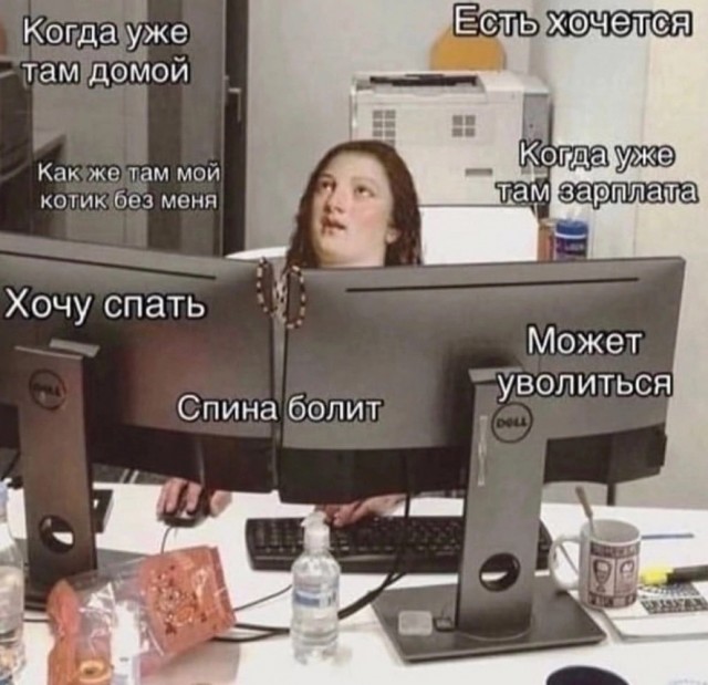 Весёлый полтишок 08.07.23