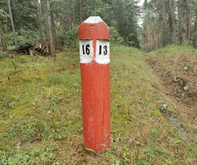 Квартальный столб - простой способ сориентироваться в лесу, о котором знает каждый лесник, но не всякий охотник