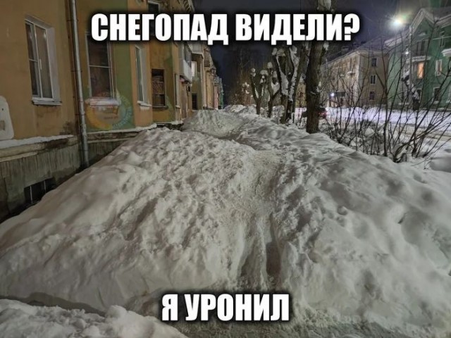 Приколы с налетом деградации
