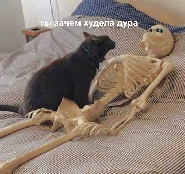 Так себе картинки 09.02.24