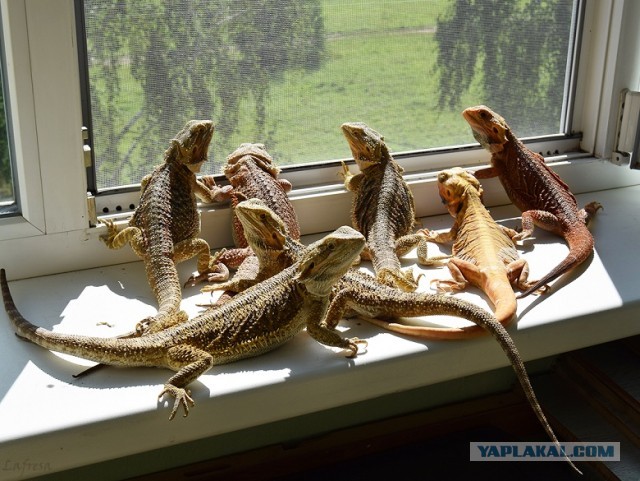 Когда жизнь удалась