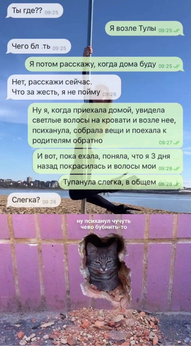 Так себе картинки 07.07.24