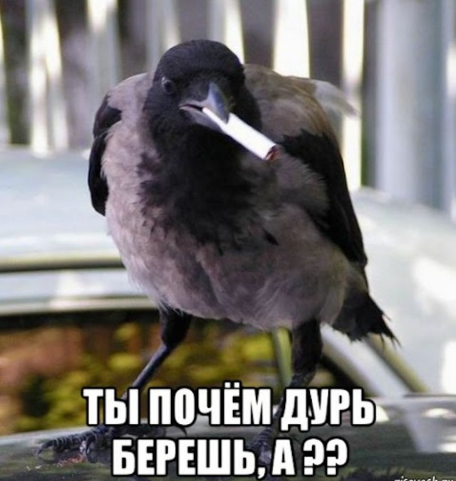 Древние шумерские тексты и Ветхий Завет о сотворении человека