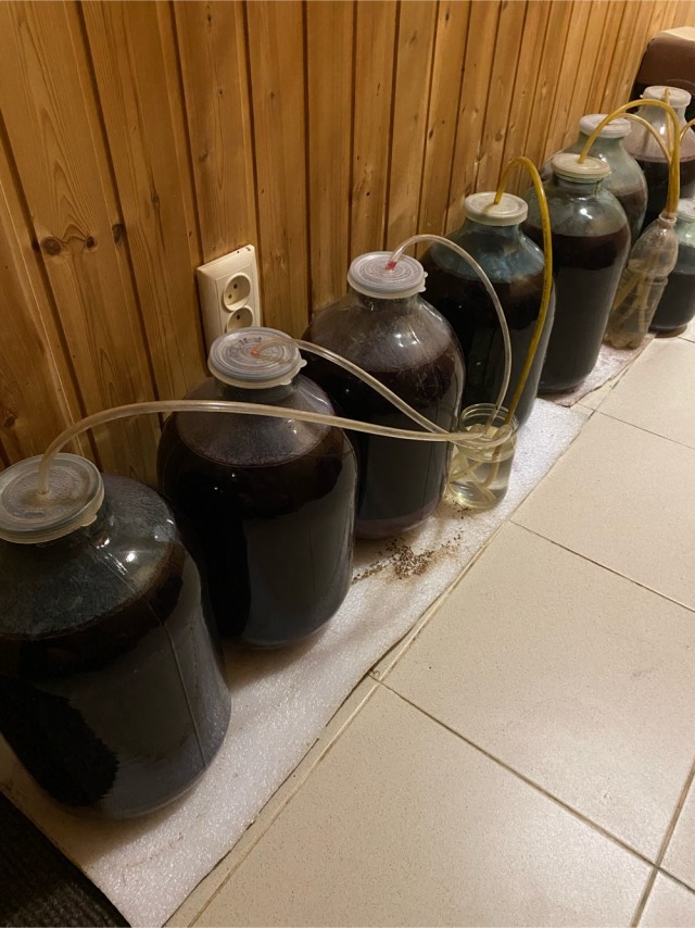 Виноделы сообщили, что бутылка российского вина не может стоить меньше 500 рублей