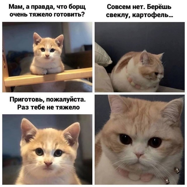 Завалялось тут случайно немного забавных картинок
