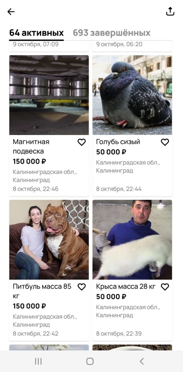 Никому не нужен орган, крыса 28 кг или борщевик?
