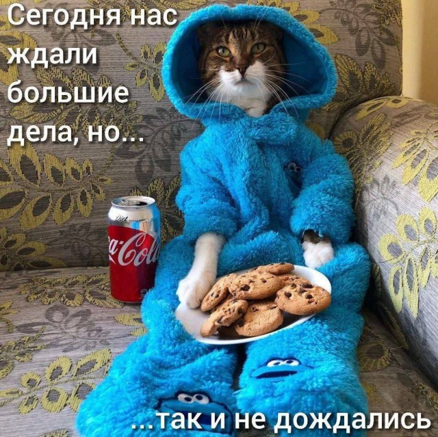Всего понемногу. От 15.01.2025