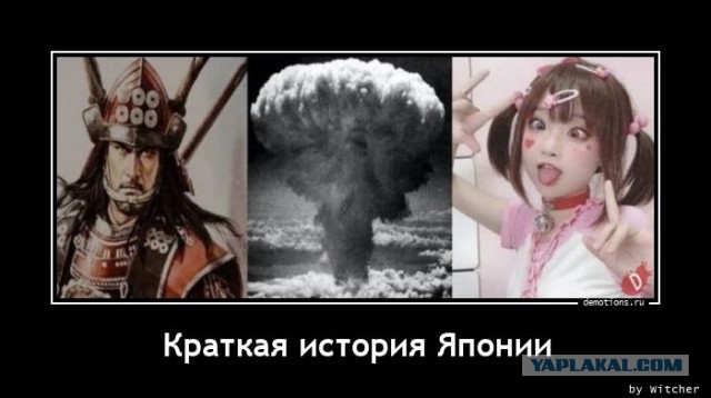 Странности японцев не перестают удивлять