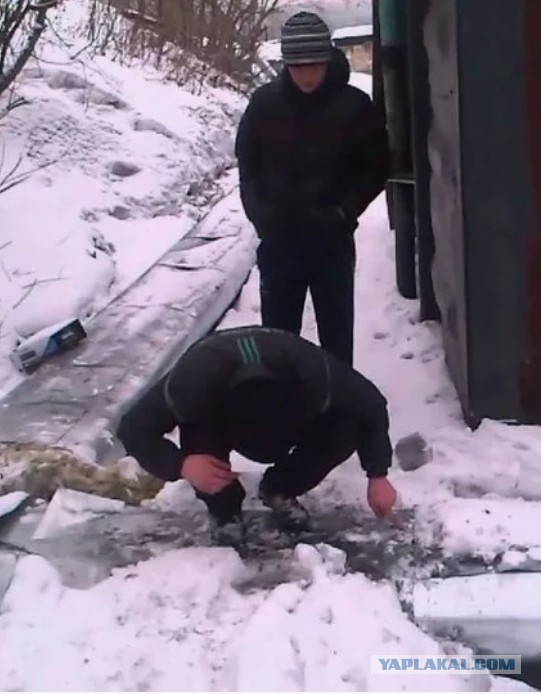 Турист в Марокко под наркотой стал евнухом