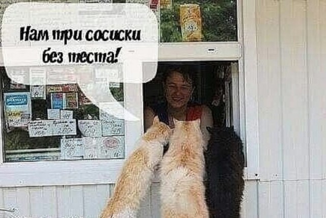 Так себе картинки 14.07.25