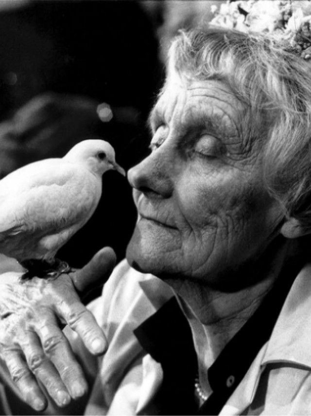 Еще ретрофото знаменитостей.