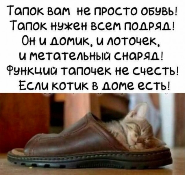 Так себе картинки 06.09.25