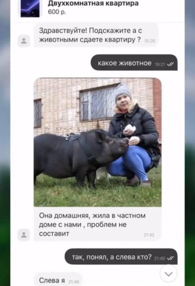 Веселые картинки в маленькую пятницу (24.09)