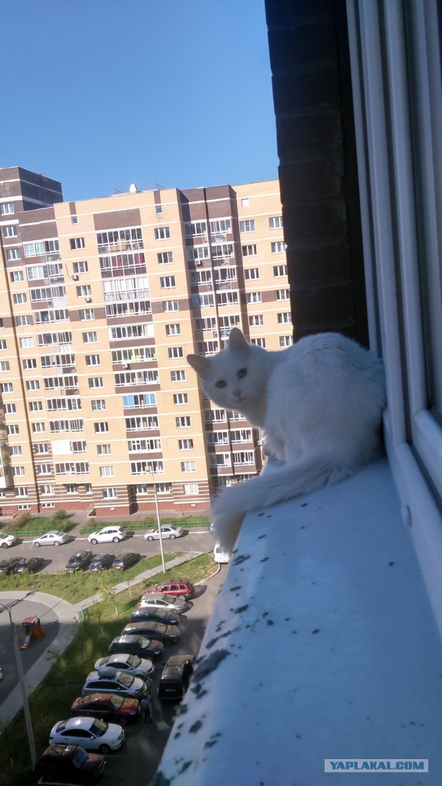 Вот и я попал в рабство.