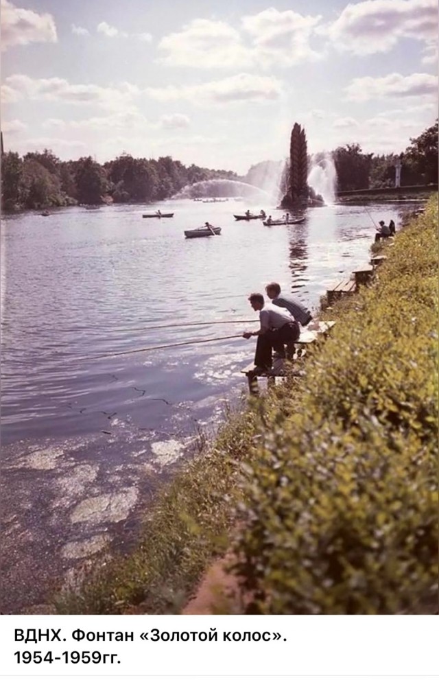 Повседневная жизнь Москвы 1950-х годов