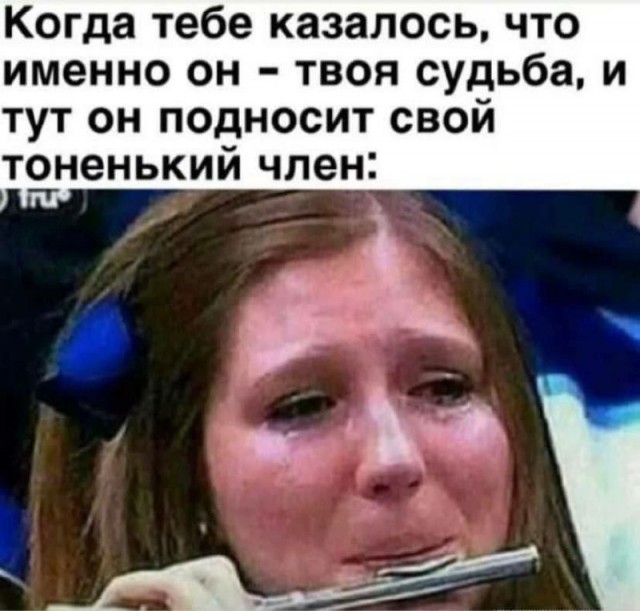 Весёлый полтишок 11.12.25