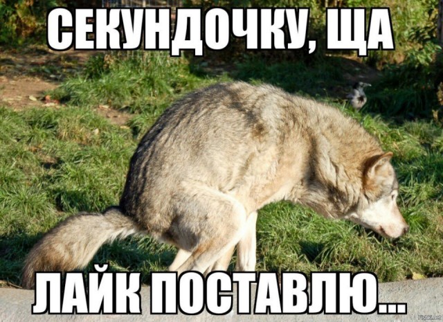 Египетское