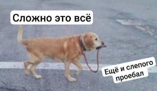 Всякой Хни вам в ленту, дорогие деграданты