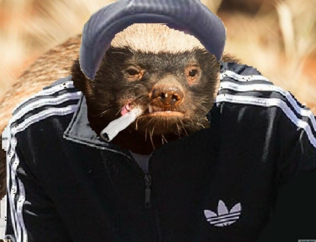 Картиночки, баянчики 01 марта