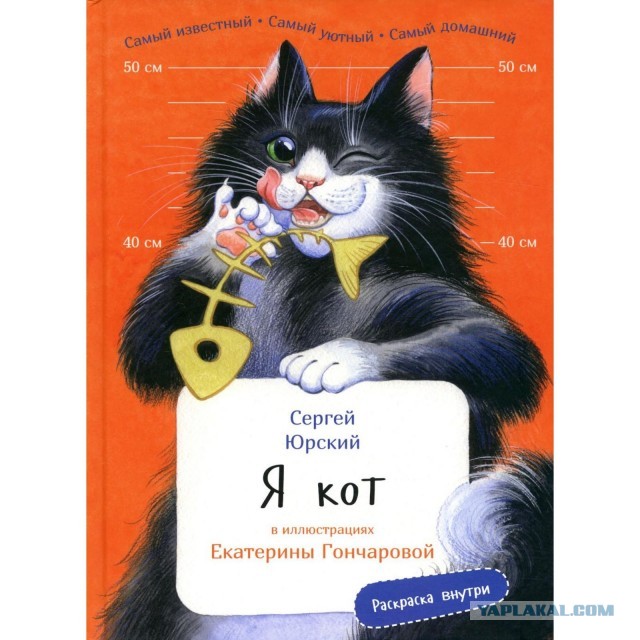 Котовторник же!