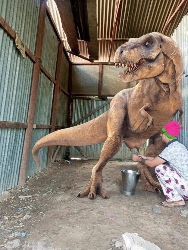 Картинки для деградации 188 (разной степени свежести)