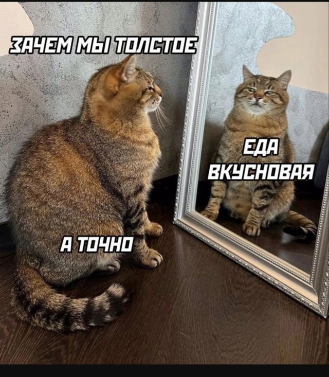 Любитель поесть⁠