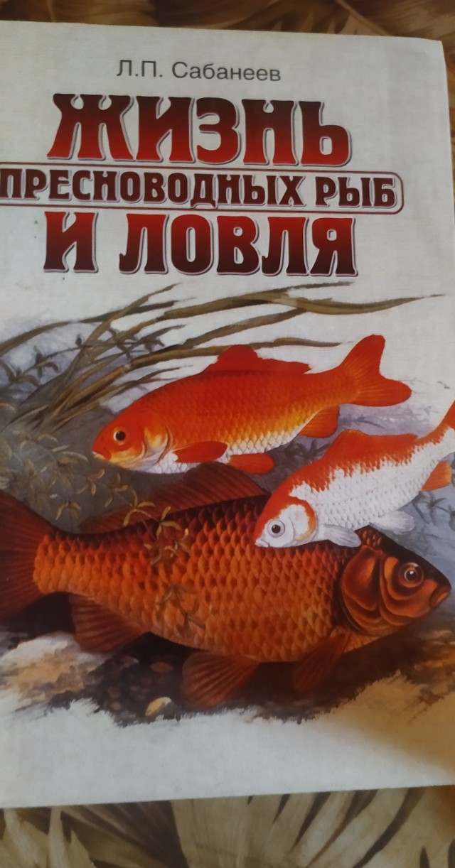 История, сколько стоит