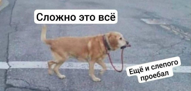 Никакого комплекса у меня нет, я действительно неполноценный!