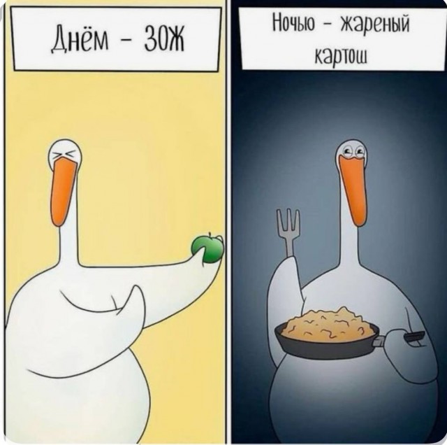 Картинки для деградации 305 (разной степени свежести)
