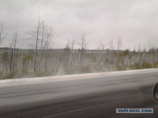 А в Усть-Илимске уже зима?!