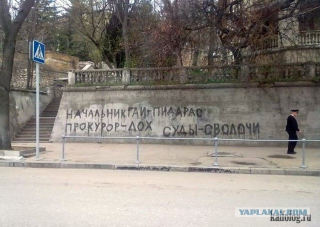 Выносящие мозг надписи на асфальте