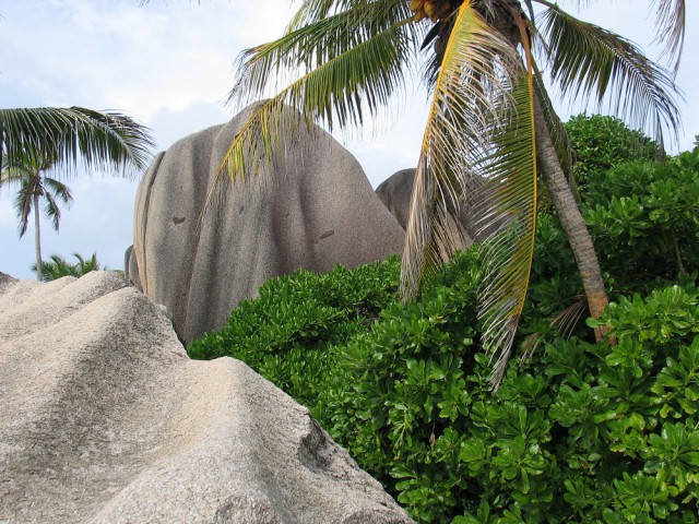 Как я съездил на Сейшелы